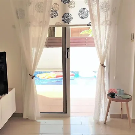 Palm Paradise