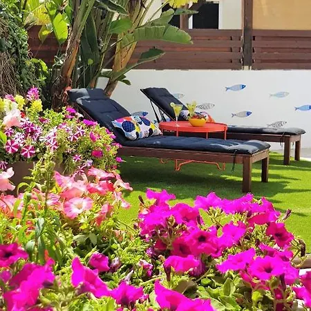 فيلة Palm Paradise *