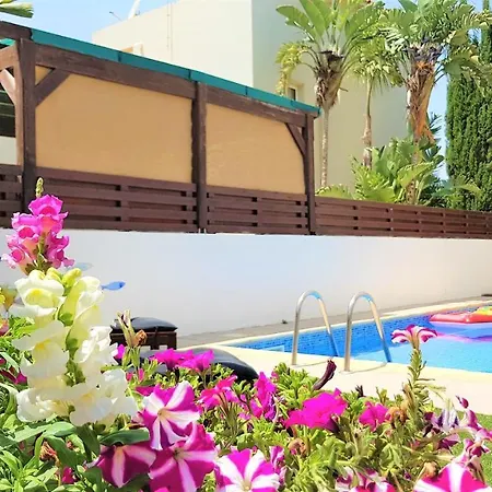 Palm Paradise * أيا نابا