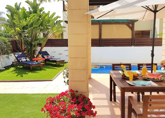 Palm Paradise * 아이아 나파