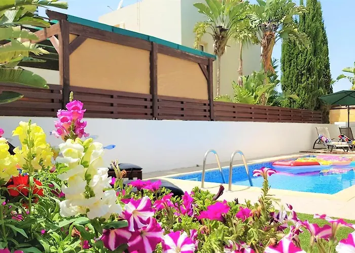 Palm Paradise * 아이아 나파