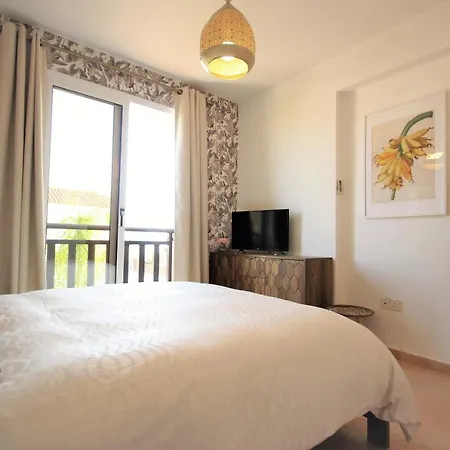 Palm Paradise * Aya Napa