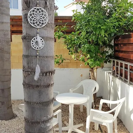 Palm Paradise * Aya Napa