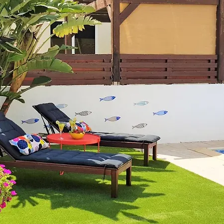 Palm Paradise * Aya Napa