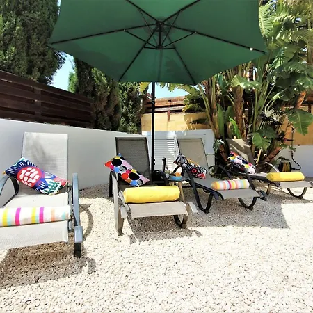 Palm Paradise *