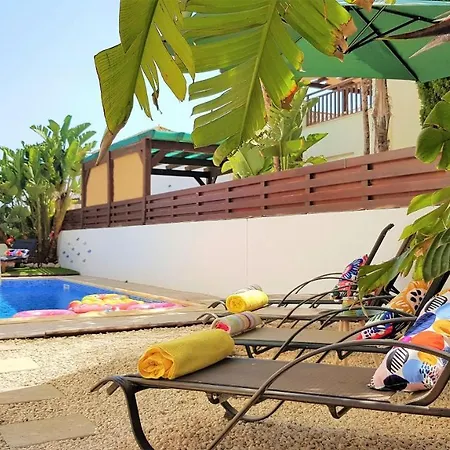 Palm Paradise *